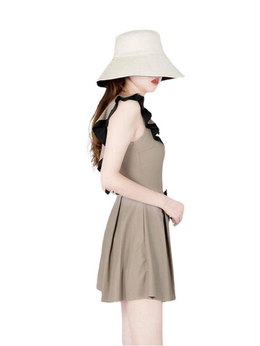 Japanese and Korean ins super trendy new swimsuit women's belly-covering conservative slimming one-piece skirt style leaky back hot spring swimsuit