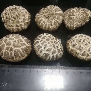 ����I�B  �軨�� 500g �׻��� �ľ�㹽 �S�����l