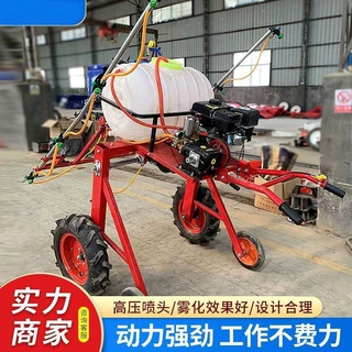 手扶自走式打药机汽油农用喷药机玉米小麦柴油手推式喷杆打药机