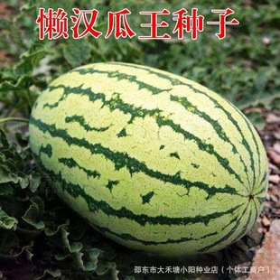 �Нh�������ϷN�ӷN���ӳ����Ƥ�ϸ߮a����ϡצ�Ϸ�ˮ����