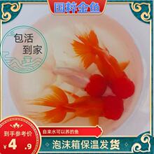 �t�{���~�����~��ˮ�~С���~���~��ˮ�\���^�p�~���B�ͻ��~���Ӝ�