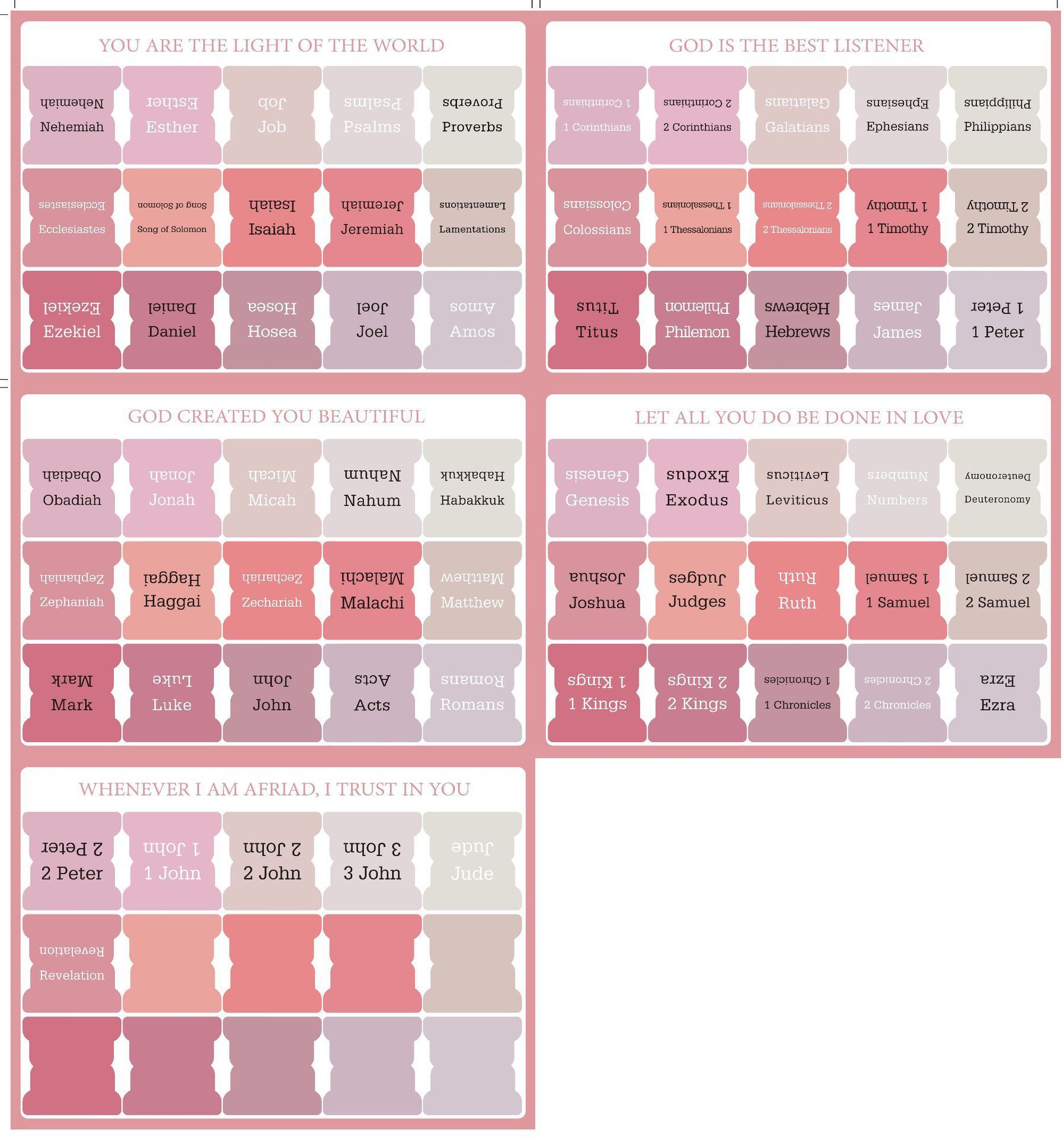 뉴 핑크 컬러-5 사진