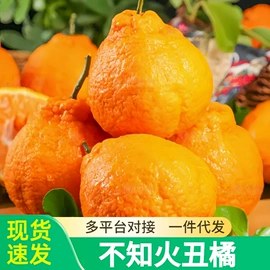 块茎类;其他水果;苹果