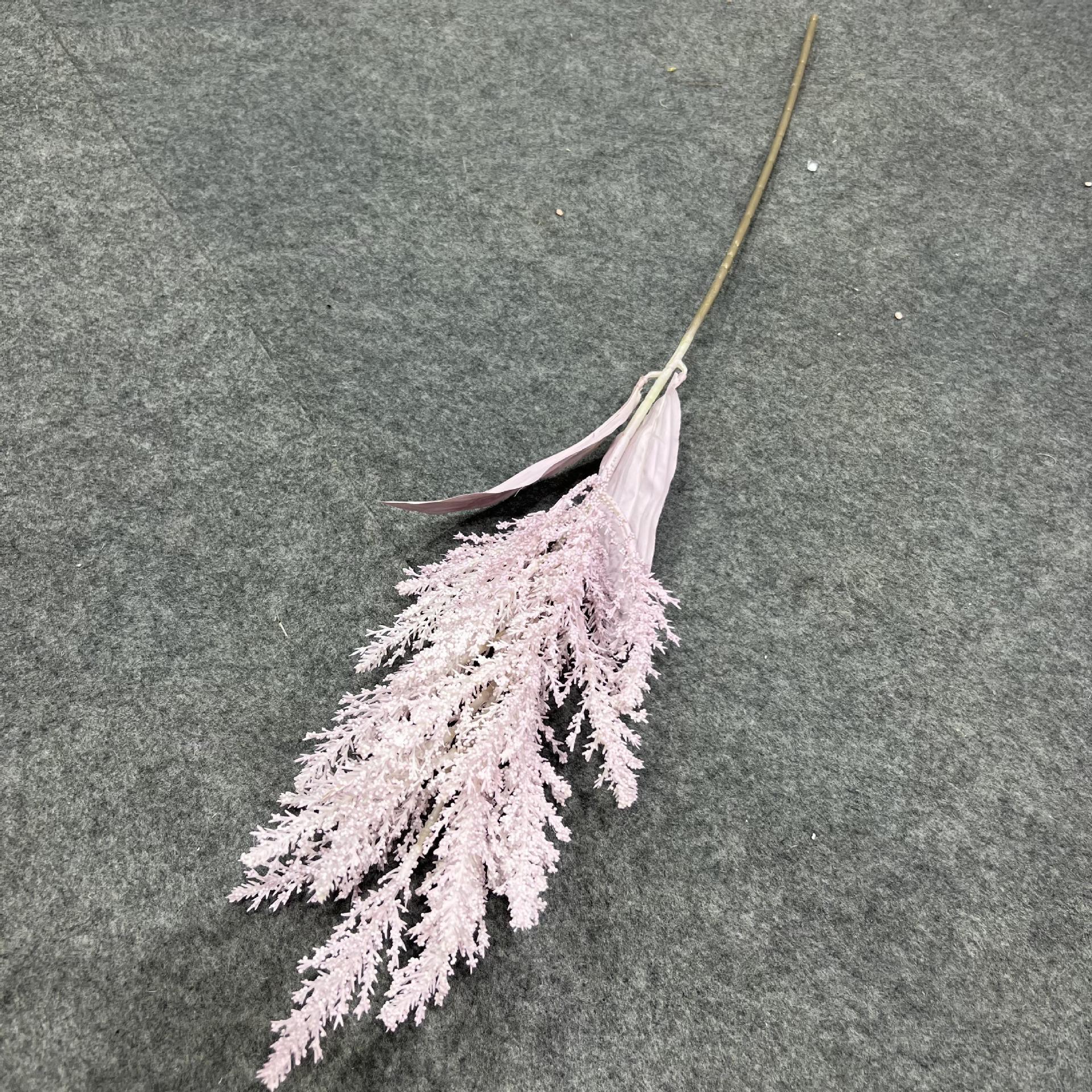 2022_08_27_09_49_IMG_6670