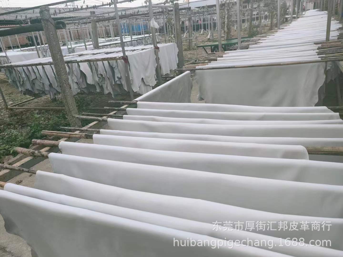 微信图片_20220105115624.jpg