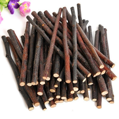 Тоторо Яблочная Ветка Моляр Маленькое Домашнее Животное Хомяк Морские Свиньи Голландская Свинья Принадлежности Кролика Яблочная Ветка Нить Молярная Палка