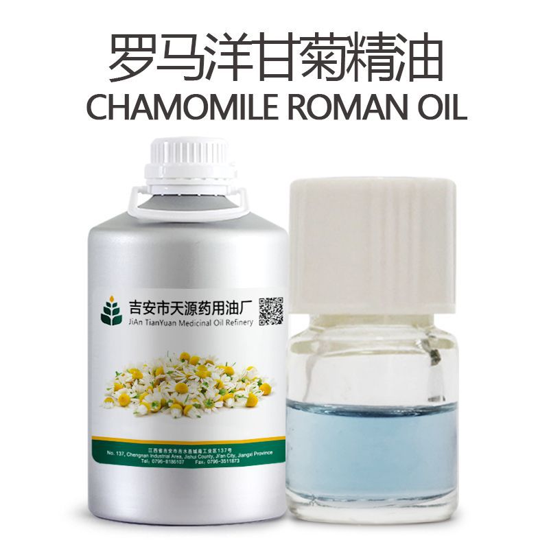 洋甘菊精油 新疆蒸馏提取罗马洋甘菊精油 春黄菊油 8015-92-7
