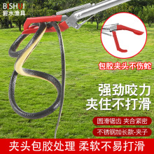 ���l�������üt�z�^�S�X���q�A���ߊA�o�������z�L�~�A�ӹ���