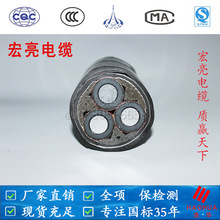 35SҺ|YJLV228.7/15KV 3о300-400ƽ˱zXо