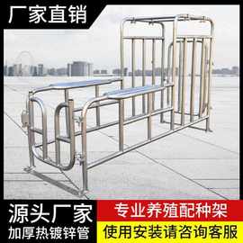 精架升降器公猪配种配种配种栏采挡母猪架子人工架母猪爬架其他