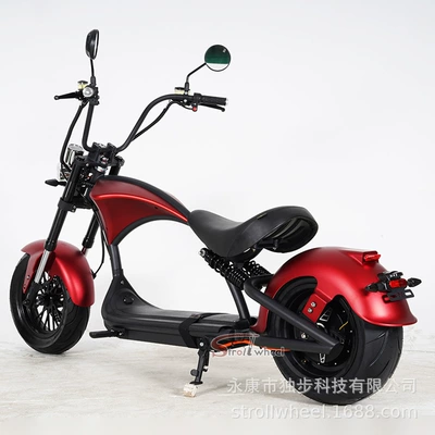 Elektrikli motosikletlər – Factory Dropshipping M1P Harley