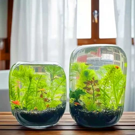 装饰花瓶;微景观瓶;鱼缸