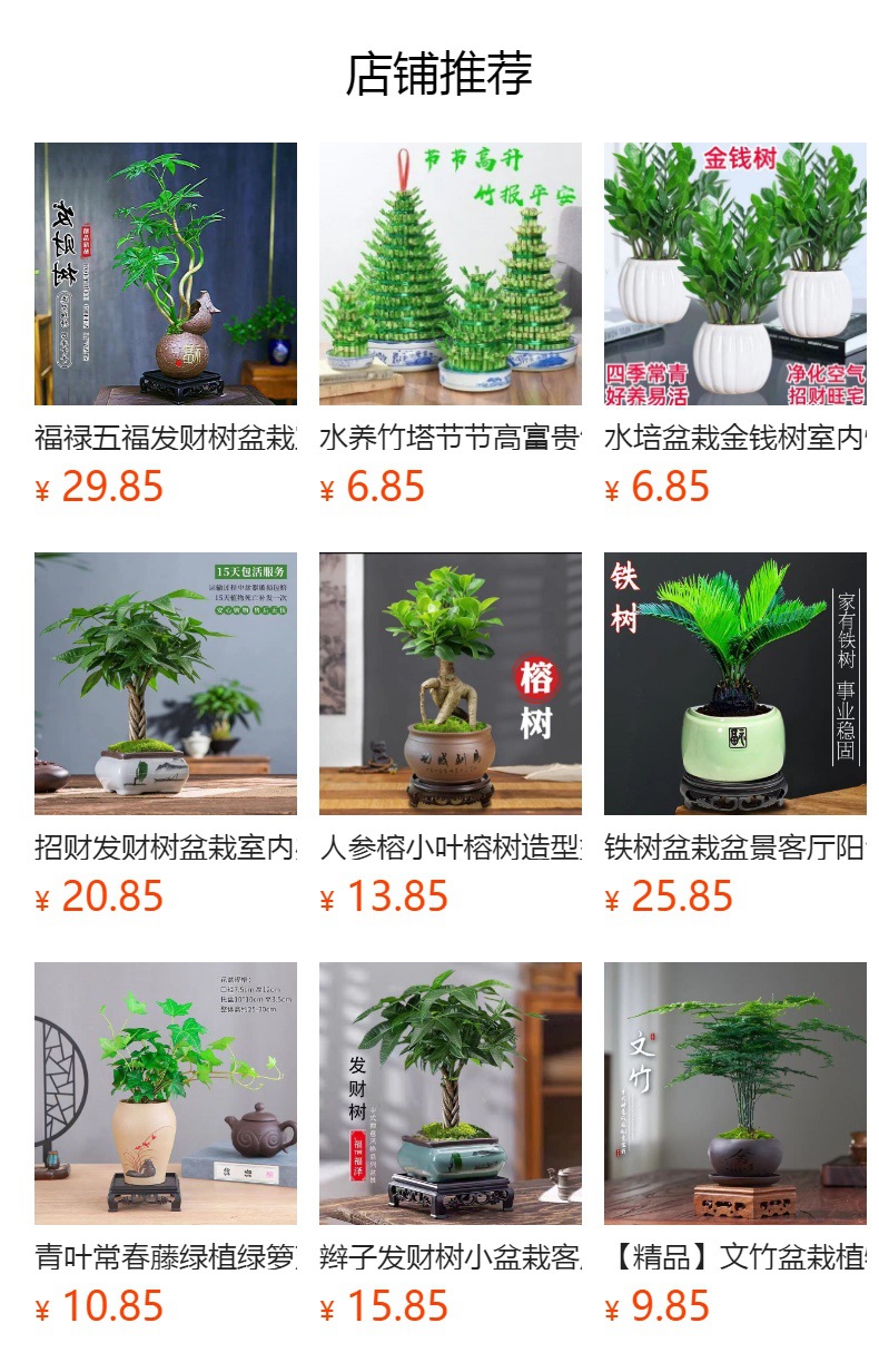 详情图
