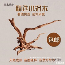 ��̫���~���쾰��ľ��̖�����b�ˮꑸ���Ȼ���N��������ľ���ľ