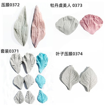 �~�ӻ���y�����w���ǹ��zģ�����Ȼ�ĵ��õ�廨�ꌦ��Ĥ���滨��