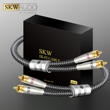 SKW �ξ��~��y �l���� �������pɏ���^ 2RCAģ�M��̖�����l