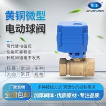 S~늄y 늄Ӷͨy ΢늄yDN15 20 25 32ˮyAC220V