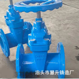 批发软密封闸阀 ZX45X球墨铸铁法兰闸阀给排水用阀门DN100 DN200