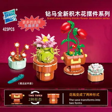 ��R�eľ��114���Ի�ϵ�ж���ֲ������������[��Ů��DIYƴ�����