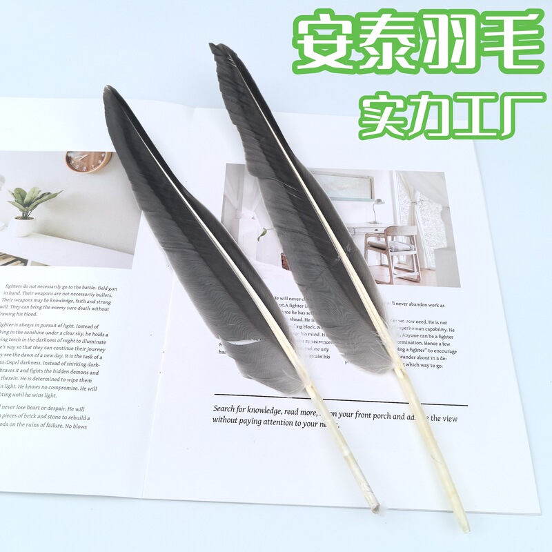 Goose Feather Pen Material with Large Feathers 25-30cm, Suitable for Stage Crafts and Creative Feather Decorations