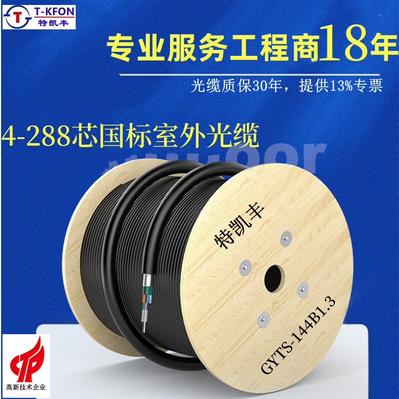 Armored Optical Cable Gyts Carrier-Grade Outdoor Stranded Optical Cable 4-Core 8-Core 12-Core 24-Core Single-Mode Armored Fiber Optic