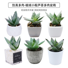 现货仿真多肉小船芦荟盆栽桌面摆件礼品迷你绿植盆景TEMU仿真植物