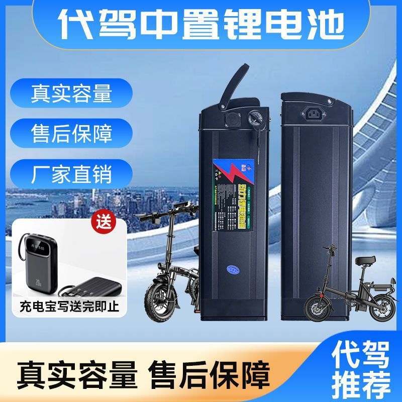 新国标电动代驾折叠车48V20AH25AH30AH35AH通用多尺寸锂电池