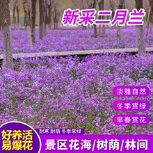 �ͺ������m���N�����a�{ɫ�����G�����^ͥԺ�ļ����N�T��˻��N��