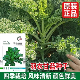 蔬菜种子;其他农业