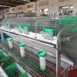 欧式子母兔笼手动喂料兔笼子阶梯式兔笼图片