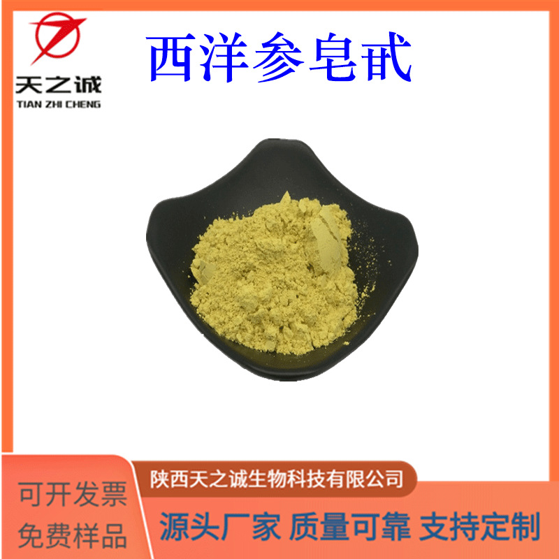 西洋参皂甙 多规格 水溶性 西洋参提取物 天之诚现货 源头厂家