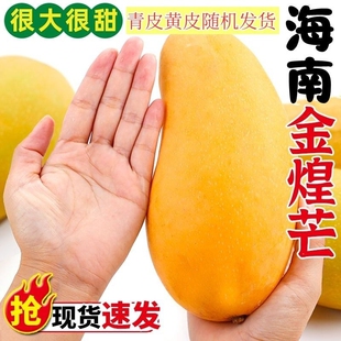 �����SƤ������râ��ˮ��ˮ��â������9��Fժ�����ᎧƤ����С