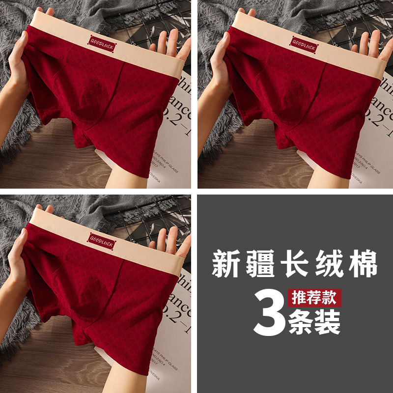 3팩 행운과 행운 + 행운과 행운 + 행운과 행운
