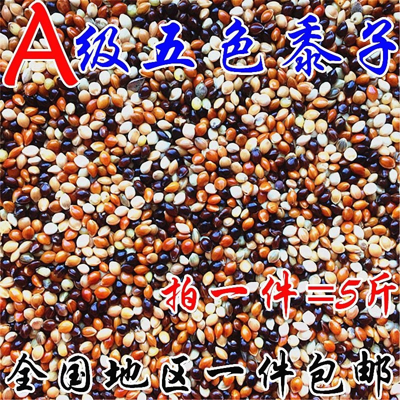 虎皮牡丹玄凤中小型鹦鹉鸟食饲料五色黍子鹦鹉混合粮谷子包邮