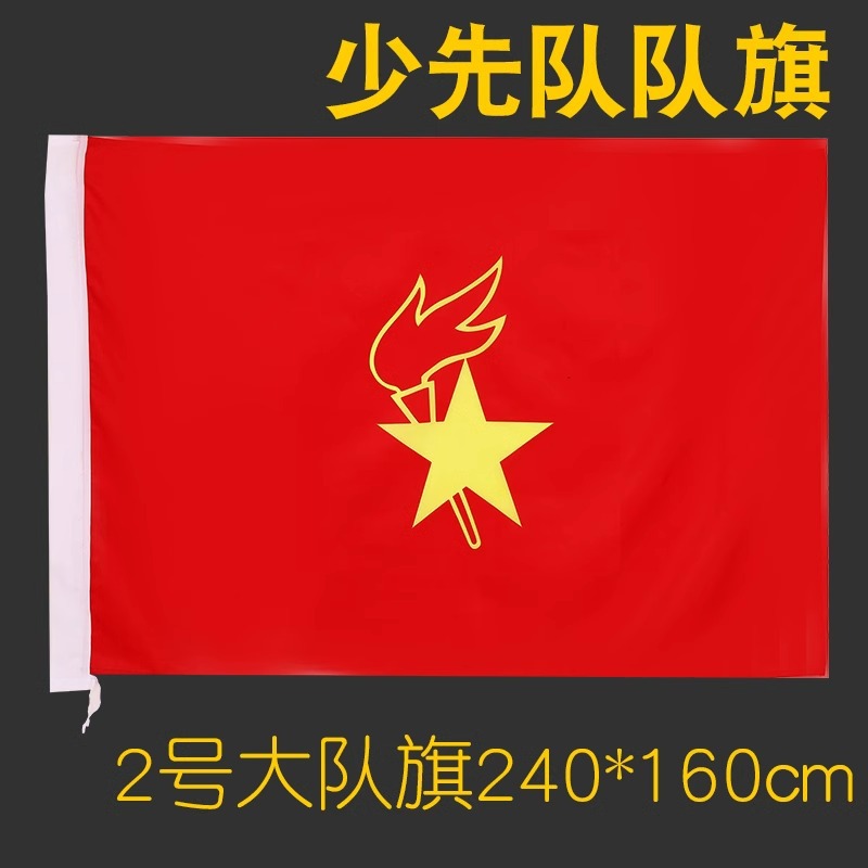 Cờ đội Nano 2 (160x240 cm)