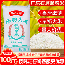 桂朝米无粘性凉糕肠河粉米皮专用大米凉虾米豆腐贵州贵潮米100斤