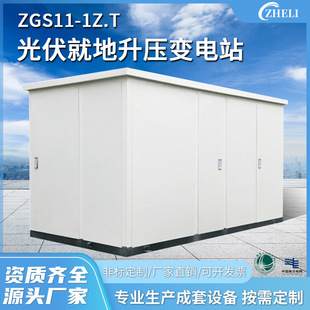 Customized 10Kv Photovoltaic Booster Box Zgs11-1Z.T Photovoltaic In-Place Booster Box Complete Set Substation