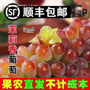 �|������������2��r�Ƥ�o���ЋD���rˮ������l��Sꖹ�õ��