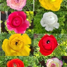 �ذ껨ëݢ���~ĵ���̨����ͥԺ��ĵ�����ļ��_���������l؛