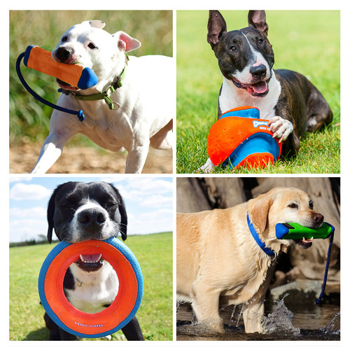 petmate pet outdoor interactive dog toy pet ball border shepherd golden retriever husky training ball football