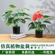 ���W�L����GֲС���������~�t�ƼҾ��b͏d�����ֲ�����Ԕ[��