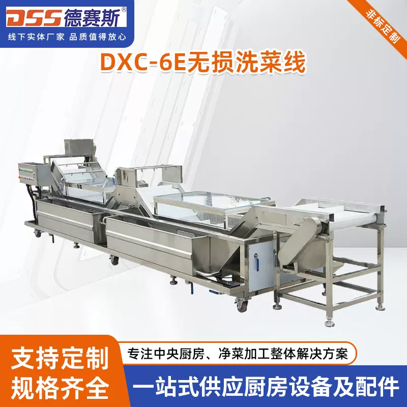 净菜加 工设备无损洗菜机全304不锈钢果蔬清洗机