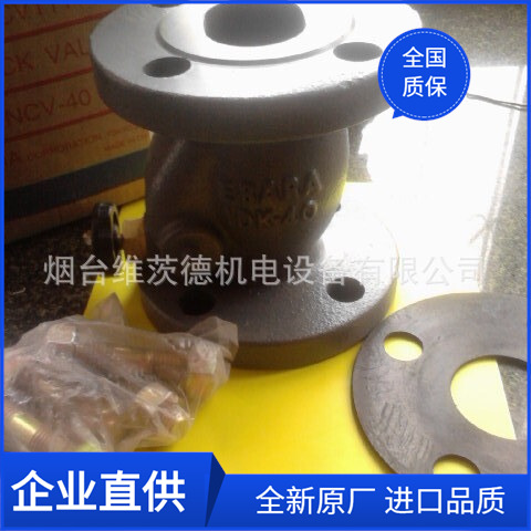 EBARA NCV逆止阀