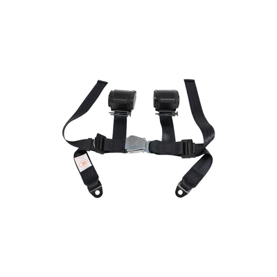 Four-Point Safety Belt: Car seat belt
