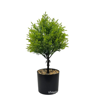 �羳�������Gֲ�ؘ������}�Q��h���ҾӔ[�������҃ȷ����ɰؘ�