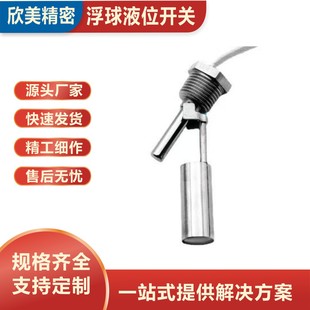 Manufacturers Supply Industrial Equipment Stainless Steel Side-Mounted Float Switch Water Level Switch