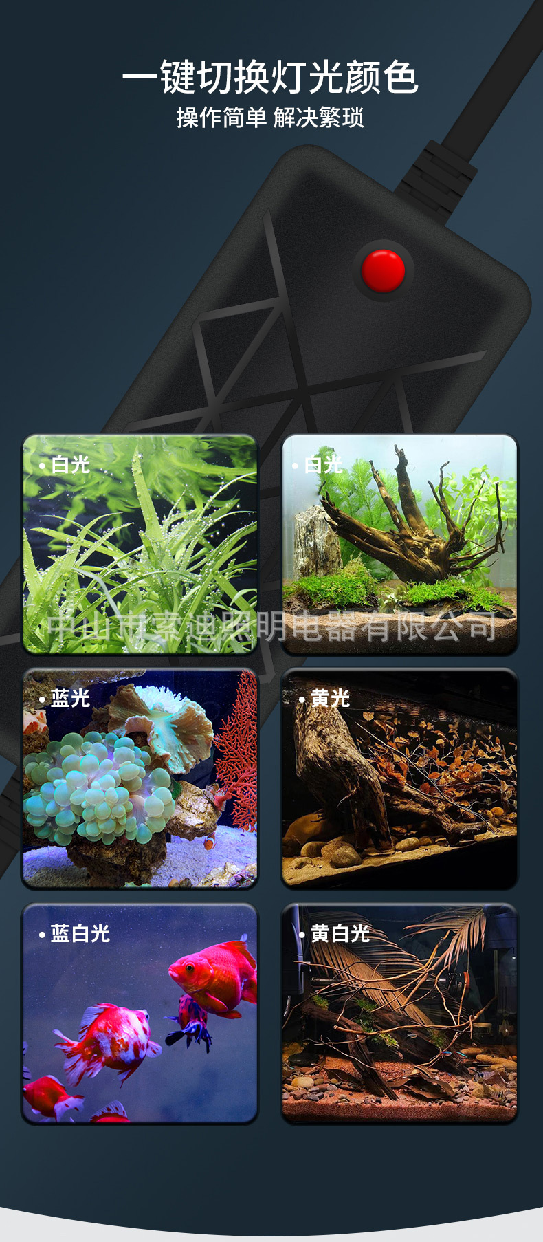 筒灯详情_08.jpg