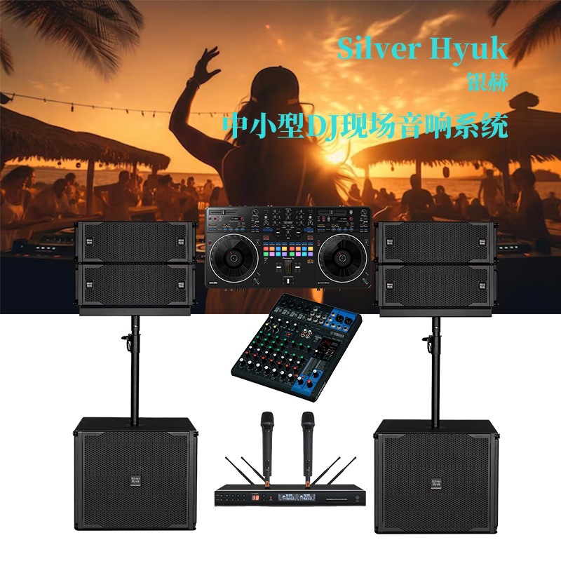 Sistema de sonido activo de matriz de línea de sonido de escenario portátil, equipo de amplificación de sonido en vivo de DJ pequeño y medio conjunto completo
