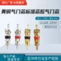 美式电镀90019002气门嘴