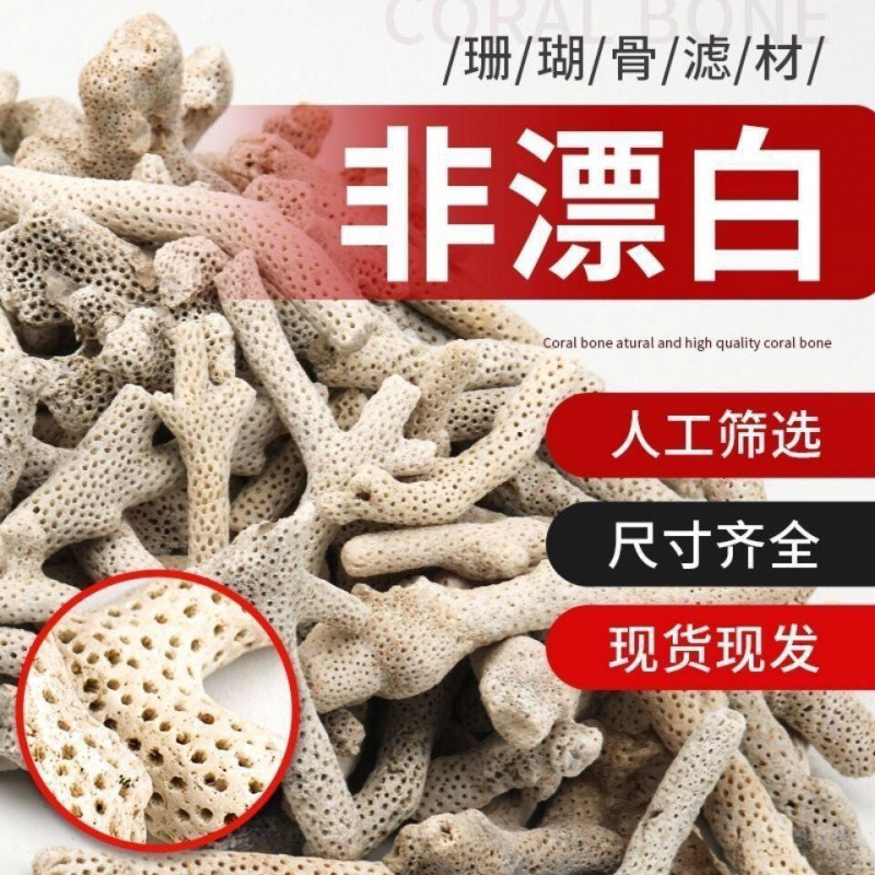 Coral aquarium, big cigarette holder